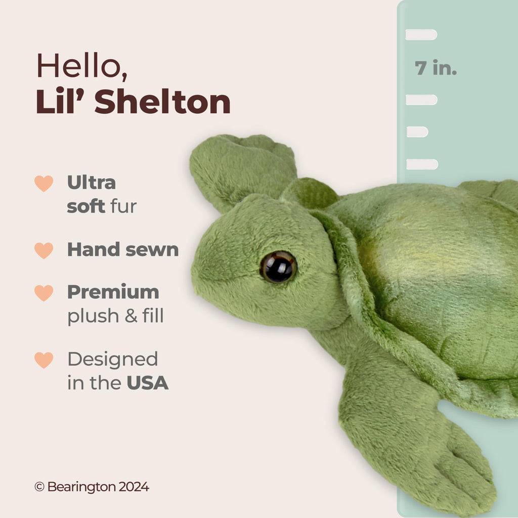 Bearington Lil' Shelton 7-Inch Sea Turtle Plush Toy with Soft Green Shell and Patterned Belly