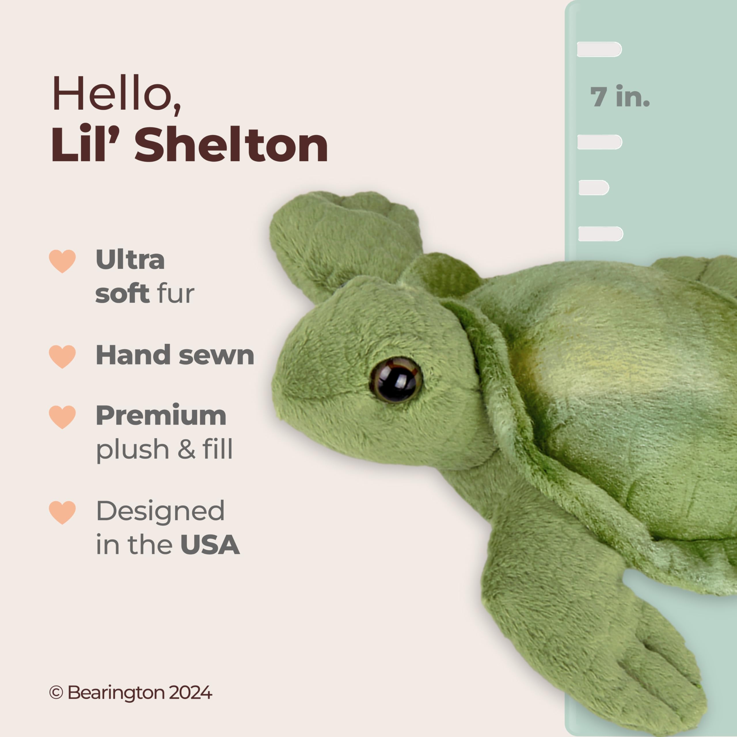 Bearington Lil' Shelton 7-Inch Sea Turtle Plush Toy with Soft Green Shell and Patterned Belly
