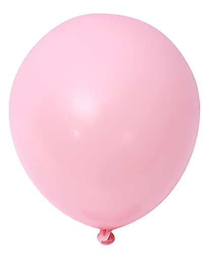 Beaumode Bluey Balloon Garland Kit – 149 Pastel Blue Pink Daisy Balloons for Girl's 2nd Birthday Party