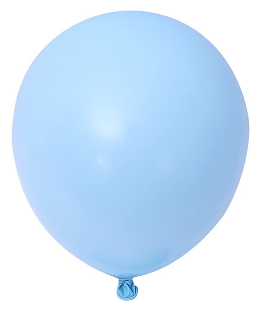 Beaumode Bluey Balloon Garland Kit – 149 Pastel Blue Pink Daisy Balloons for Girl's 2nd Birthday Party