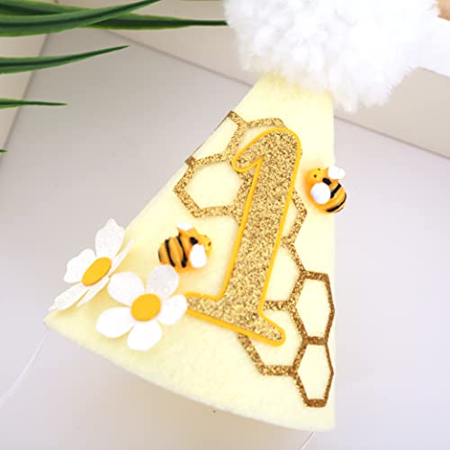 Bee 1st Birthday Cone Hat with Photo Props for Baby's First Birthday Party