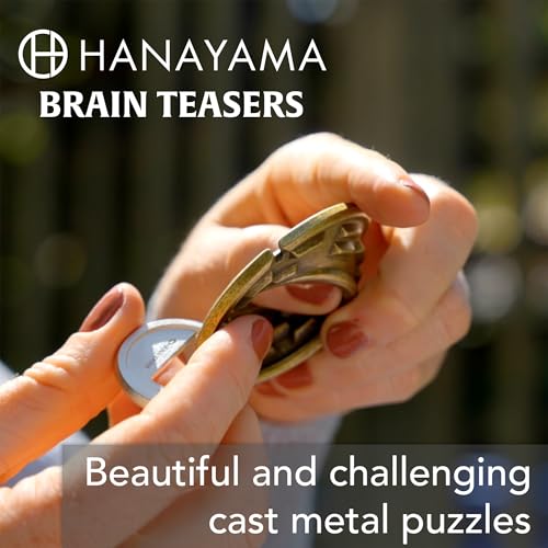 BePuzzled Quartet Hanayama Metal Brainteaser Puzzle – Level 6, Ages 12+