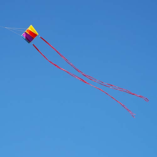 Besra Colorful Parafoil Kite – Easy to Fly with Long Tail for Adults