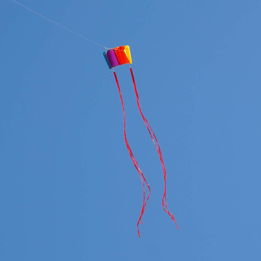 Besra Colorful Parafoil Kite – Easy to Fly with Long Tail for Adults