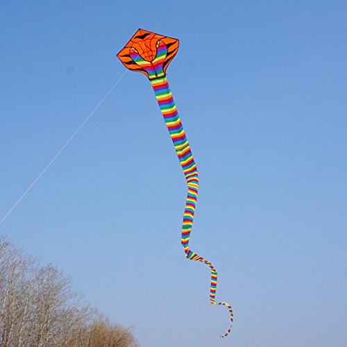 Besra Large Cobra Snake Kite – 52ft Colorful Nylon Kite with Long Tails for Outdoor Play