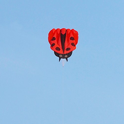 Besra Red Ladybug Kite - 55x67 Inch Parafoil with Handle and Line, Easy to Fly Outdoor Toy