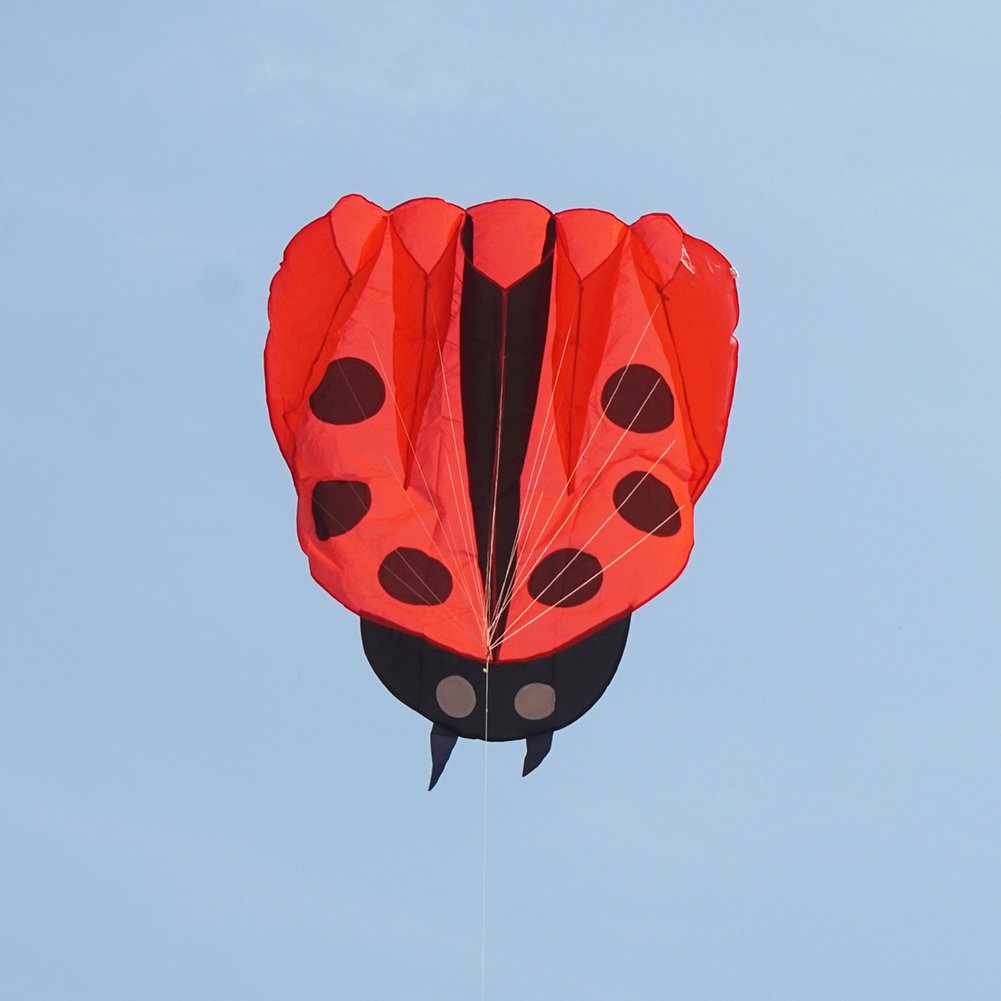 Besra Red Ladybug Kite - 55x67 Inch Parafoil with Handle and Line, Easy to Fly Outdoor Toy