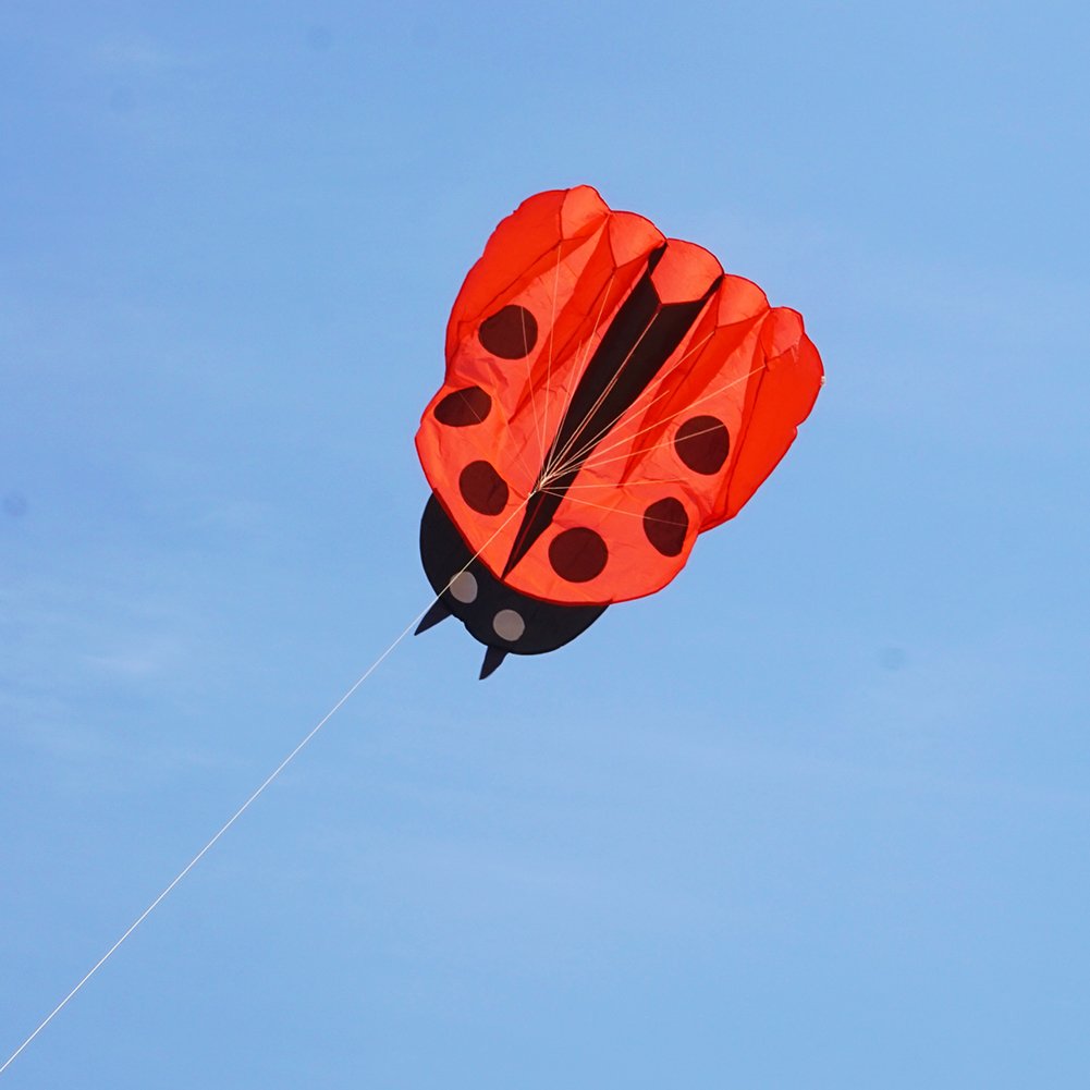 Besra Red Ladybug Kite - 55x67 Inch Parafoil with Handle and Line, Easy to Fly Outdoor Toy