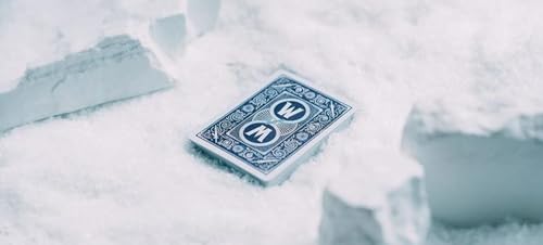 Bicycle Premium Special Edition Playing Cards – World of Warcraft: Wrath of the Lich King