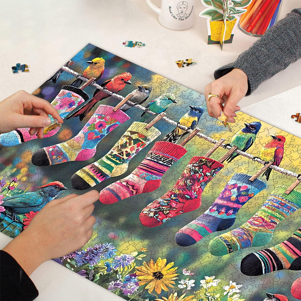 Bimkole Birds and Socks 1000 Piece Jigsaw Puzzle – 31.5 x 16.14 Inch Finished Size, High-Quality Cardboard, Fun Family Activity & Wall Decor