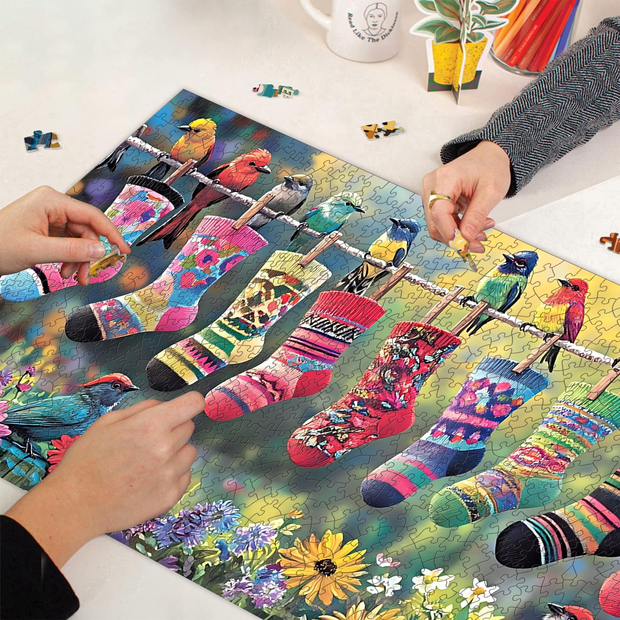 Bimkole Birds and Socks 1000 Piece Jigsaw Puzzle – 31.5 x 16.14 Inch Finished Size, High-Quality Cardboard, Fun Family Activity & Wall Decor