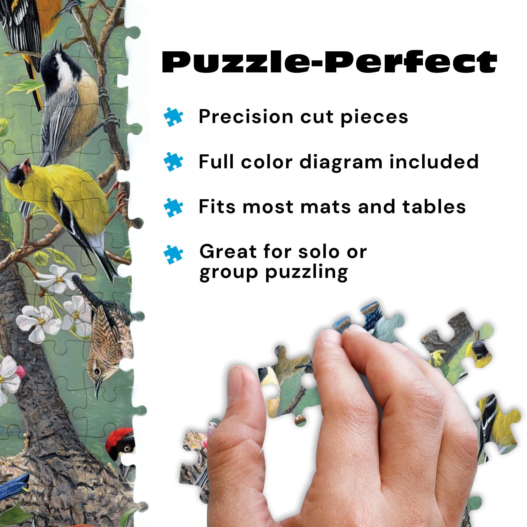 Birds in an Orchard 1000-Piece Jigsaw Puzzle by Buffalo Games | Hautman Brothers Art, Includes Poster, 26.75 x 19.75 in