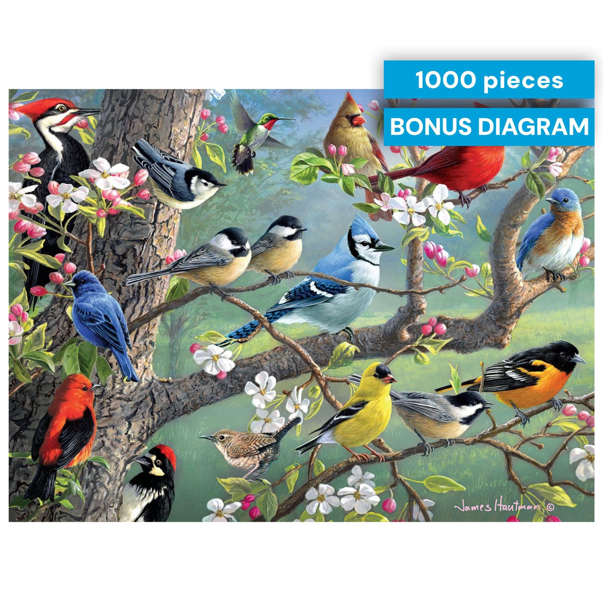 Birds in an Orchard 1000-Piece Jigsaw Puzzle by Buffalo Games | Hautman Brothers Art, Includes Poster, 26.75 x 19.75 in
