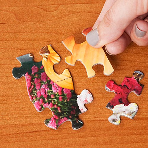 Bits and Pieces 300-Piece Jigsaw Puzzle – A Taste of Summer by John Sloane, 18" x 24" Large Piece Kitchen Scene