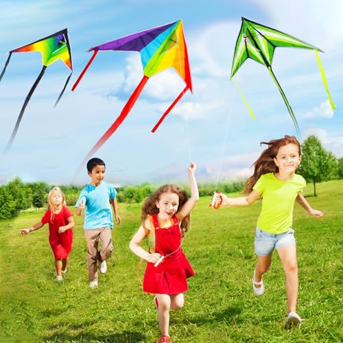 Bloolilies 3-Pack Delta Kites – Rainbow, 39.5 x 19.7 Inch, 328ft Line, Easy to Fly for Kids and Adults