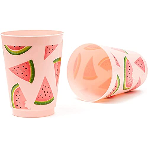 BLUE PANDA Pink Plastic Tumbler Cups 16 Oz - 16 Pack for Watermelon Party Decor