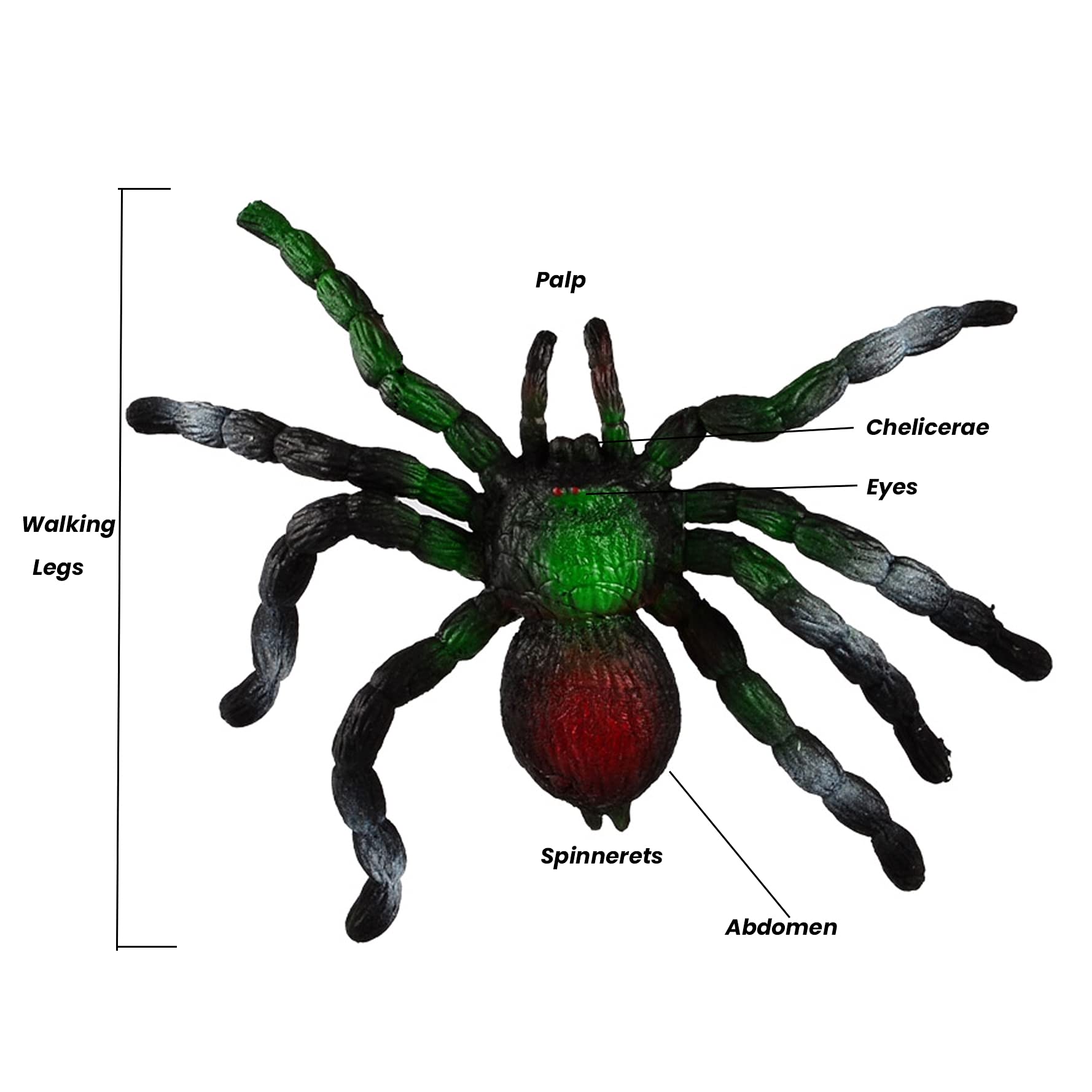 BOHS Jiggly Spider Mom and Spiderlings – 4-Piece Stretch & Squeeze Rubber Toy Set