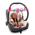 Bright Starts Busy Birdies Carrier Toy Bar - Musical Lights & Activities for Newborns+