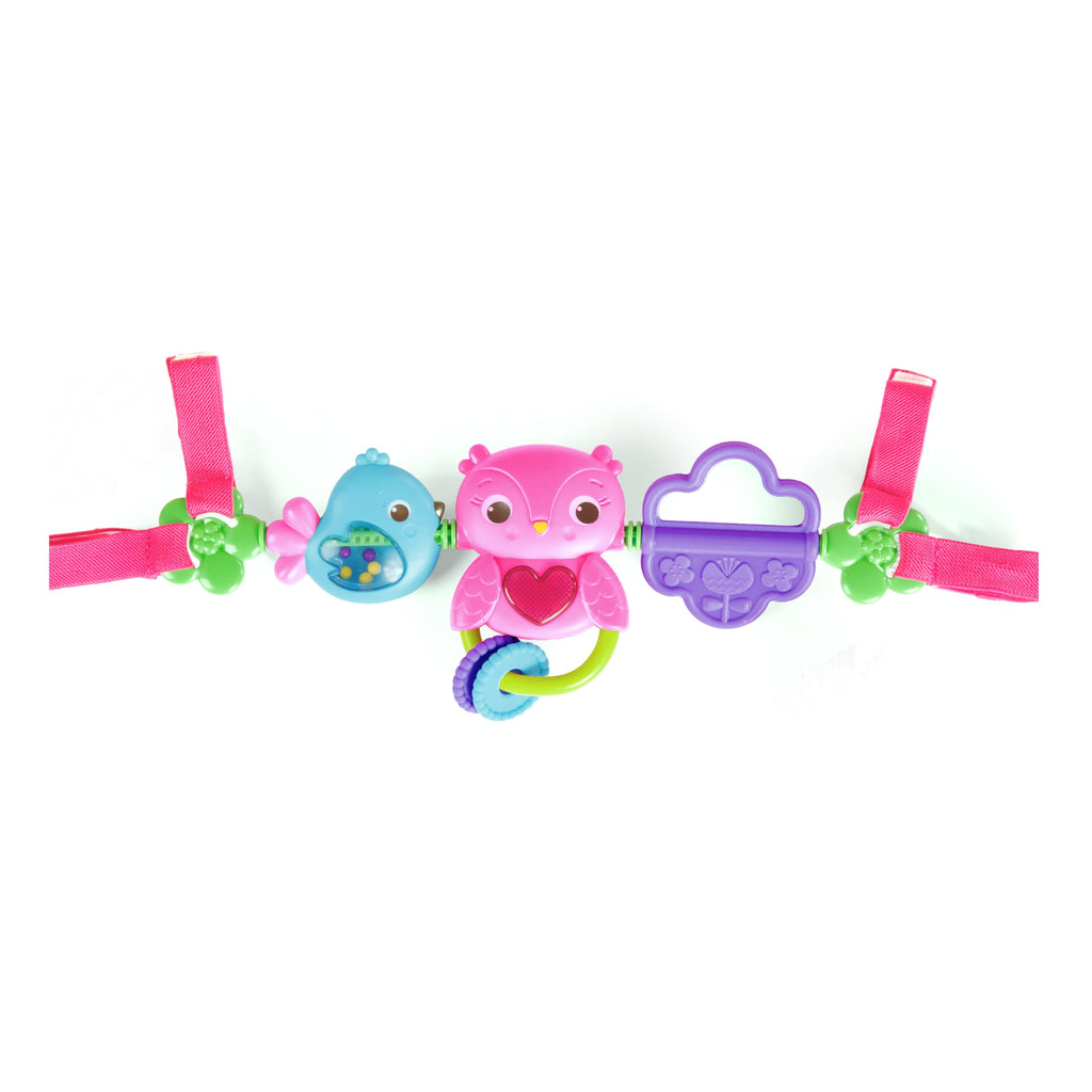 Bright Starts Busy Birdies Carrier Toy Bar - Musical Lights & Activities for Newborns+