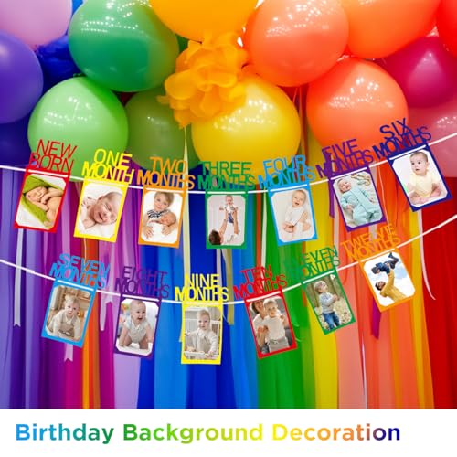 Buryeah Rainbow 1st Birthday Photo Banner for Baby Girls – Monthly Milestones from Newborn to 12 Months