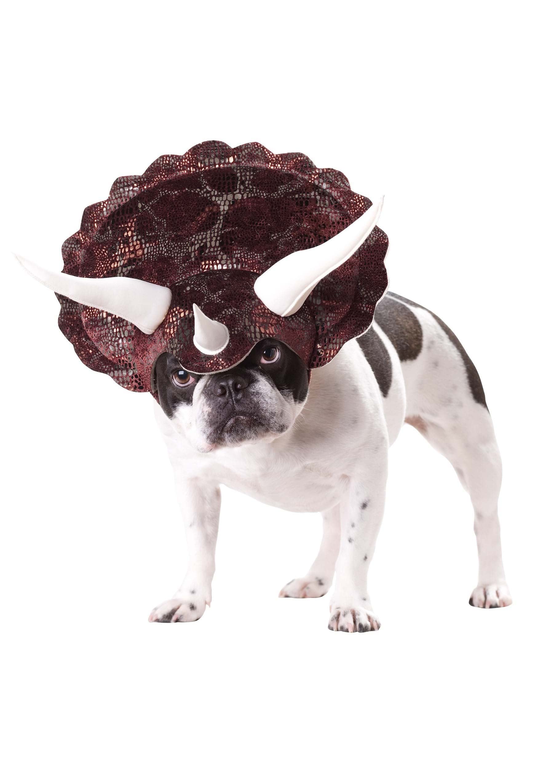 California Costumes Triceradog Dog Costume for Medium Dogs – Dinosaur Horn Headpiece