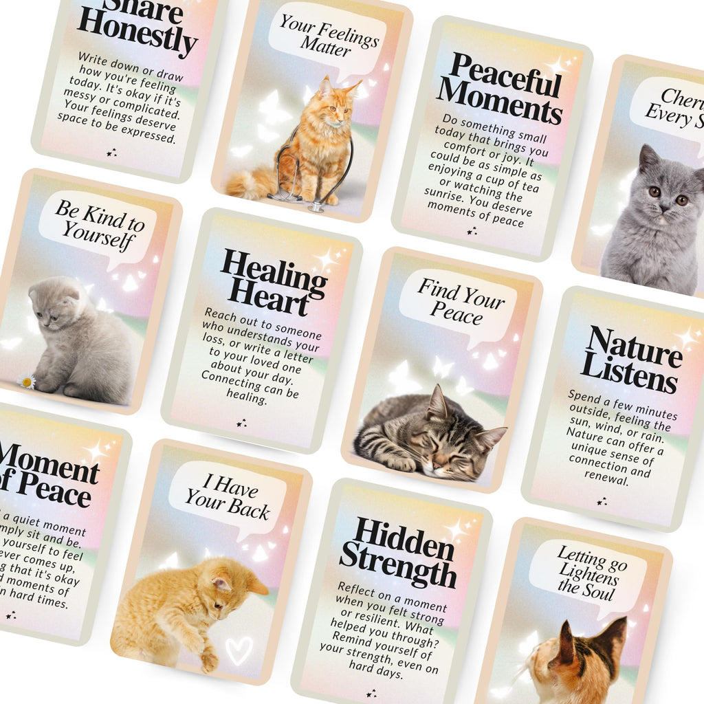 CATCHYOURDREAMS Cats for Comfort Affirmation Cards – 52 Inspirational Activities for Stress Relief & Grief Healing