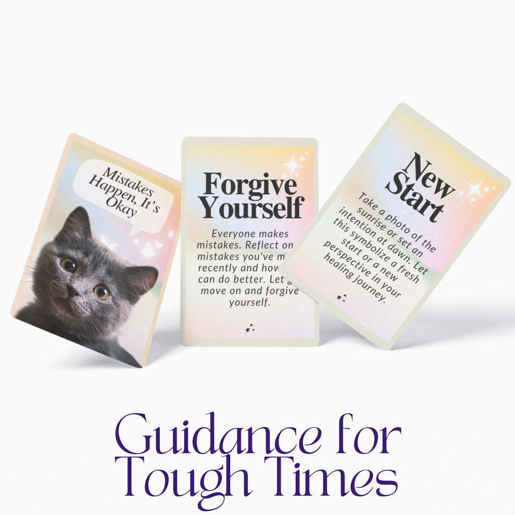 CATCHYOURDREAMS Cats for Comfort Affirmation Cards – 52 Inspirational Activities for Stress Relief & Grief Healing