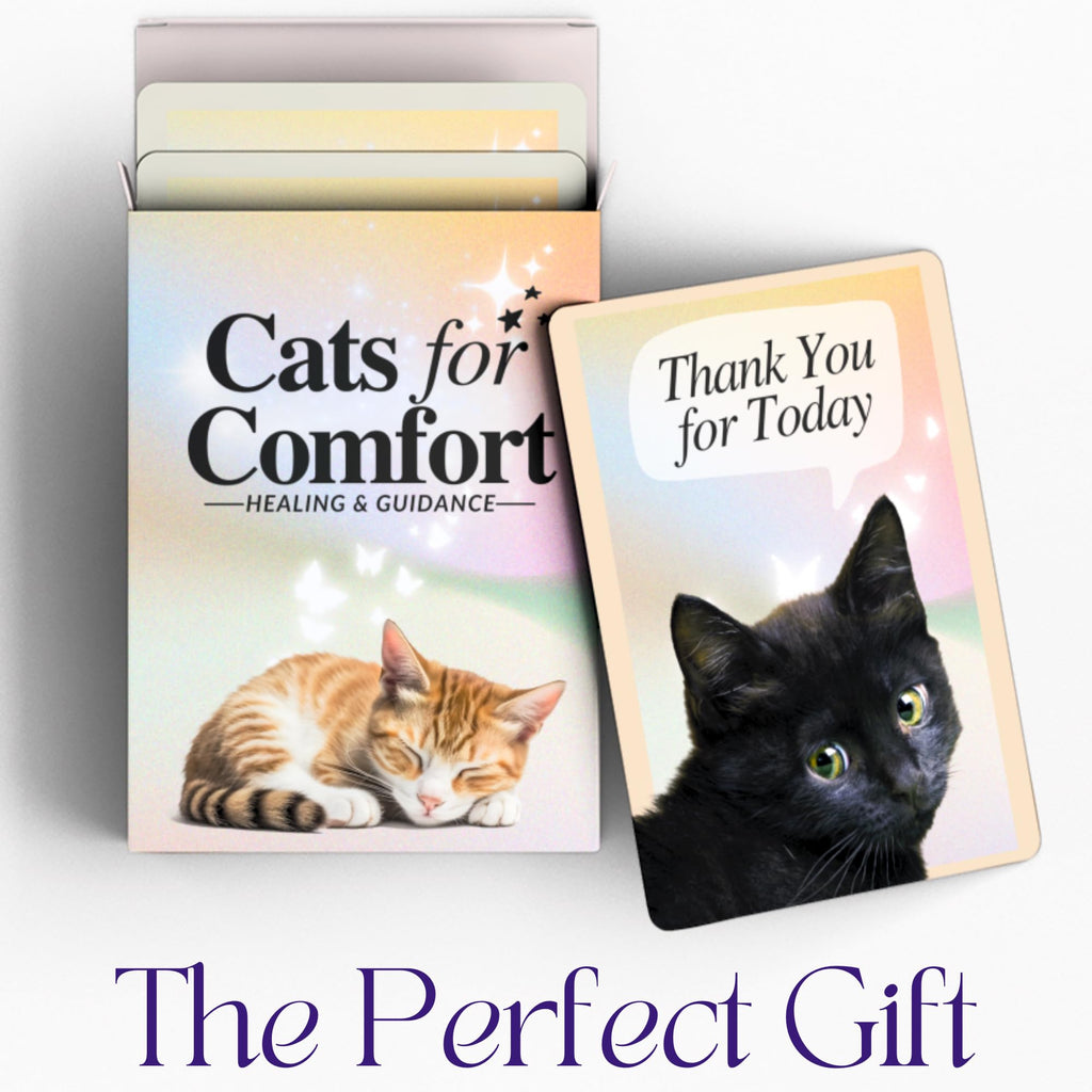 CATCHYOURDREAMS Cats for Comfort Affirmation Cards – 52 Inspirational Activities for Stress Relief & Grief Healing