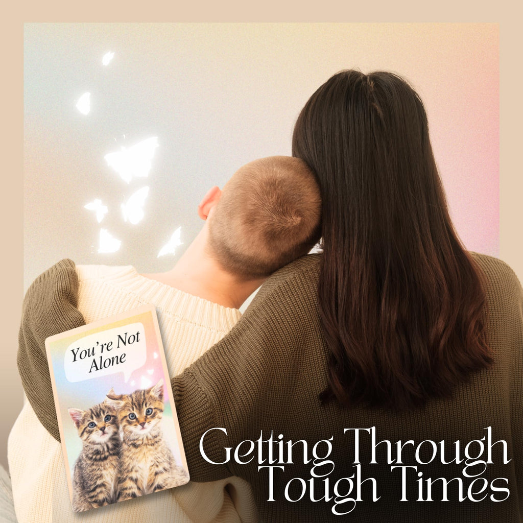CATCHYOURDREAMS Cats for Comfort Affirmation Cards – 52 Inspirational Activities for Stress Relief & Grief Healing