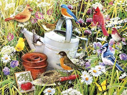 Ceaco Garden Birds 500 Piece Puzzle – 24x18 Inches, Includes Full-Color Poster