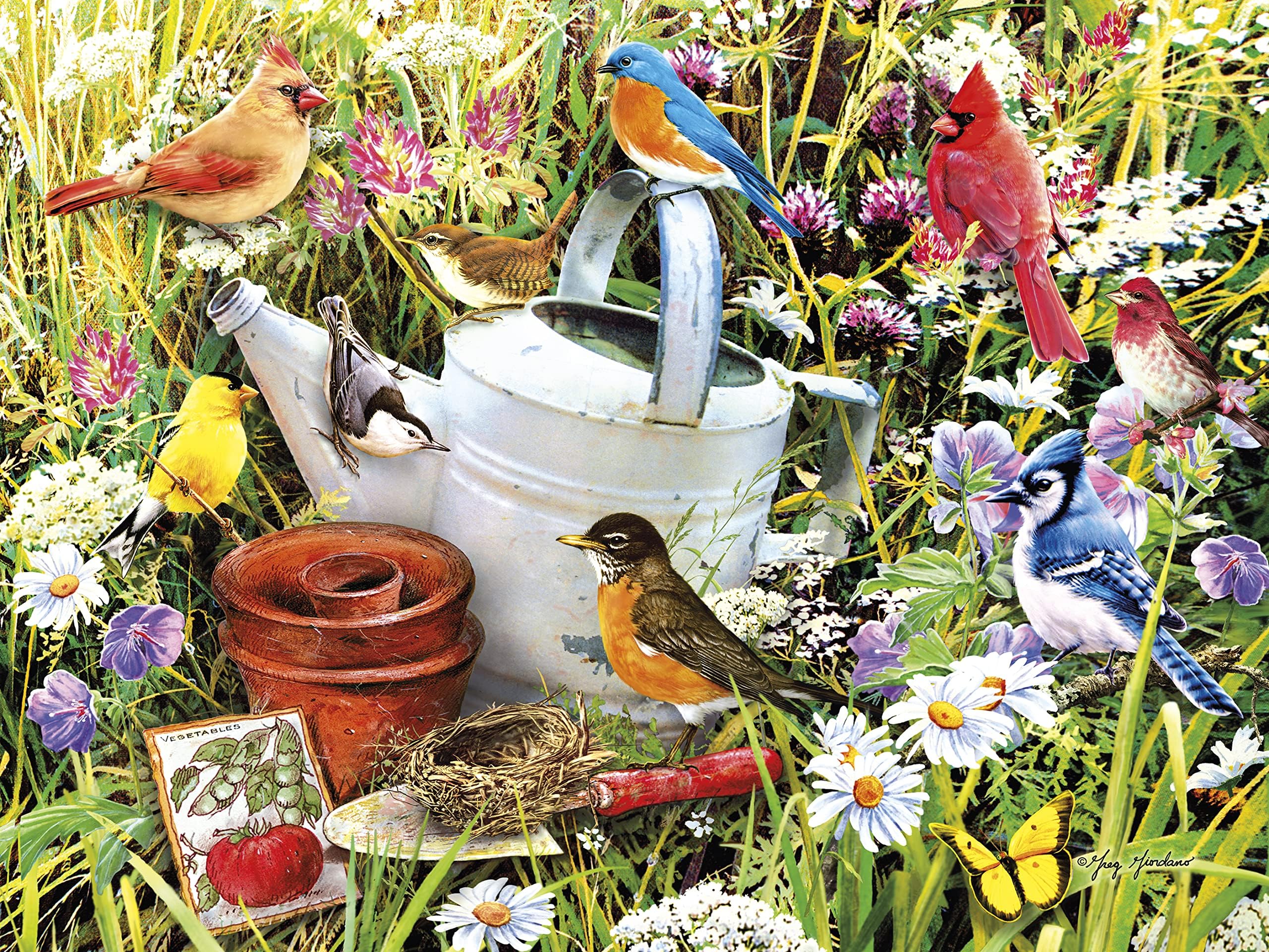 Ceaco Garden Birds 500 Piece Puzzle – 24x18 Inches, Includes Full-Color Poster