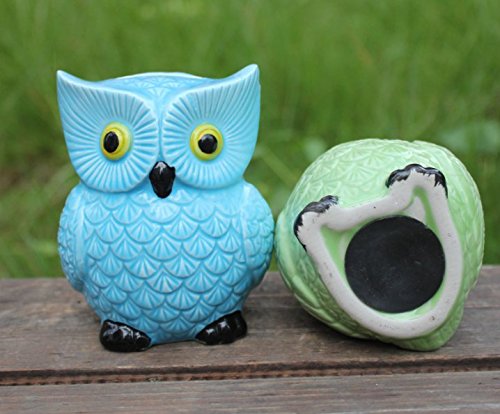 Ceramic Owl Piggy Bank – Personalized Money Saving Bank for Kids, Girls, Nursery Gift Decor