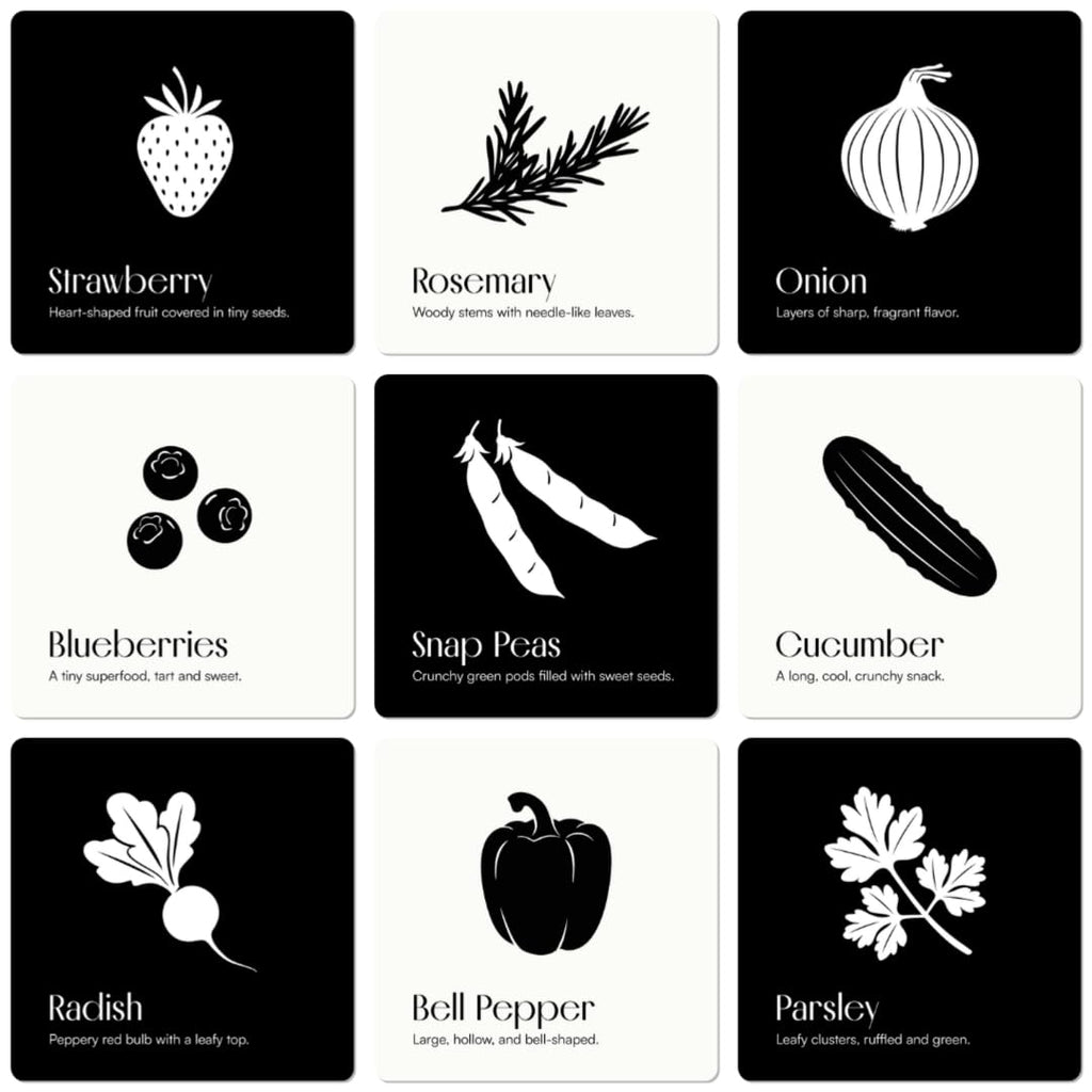 Chunky Deli Garden for Baby High Contrast Cards – 10 Laminated Black & White Sensory Cards for Newborn Vision and Tummy Time