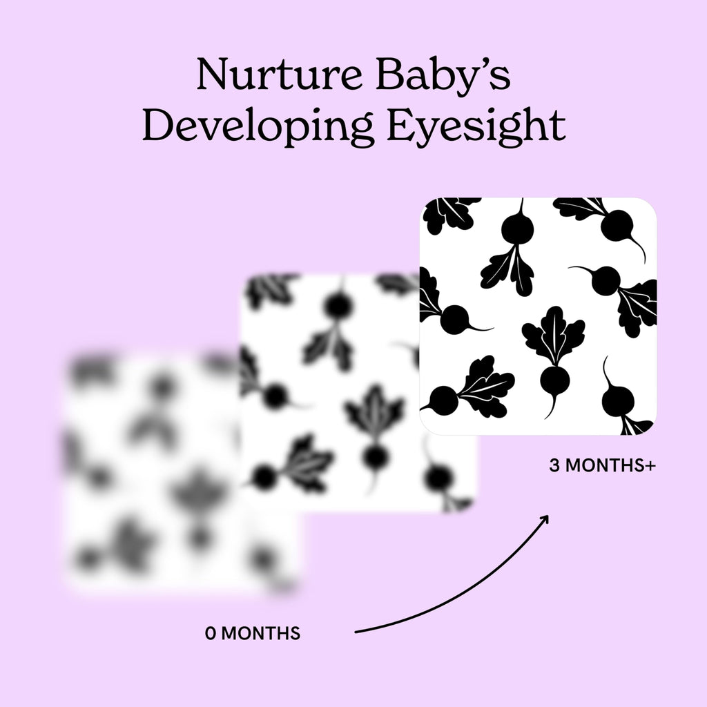 Chunky Deli Garden for Baby High Contrast Cards – 10 Laminated Black & White Sensory Cards for Newborn Vision and Tummy Time