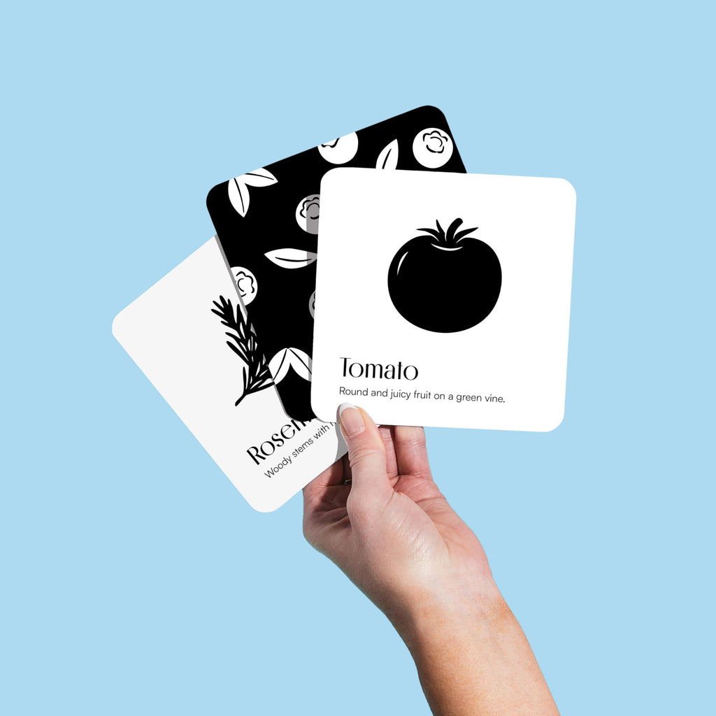 Chunky Deli Garden for Baby High Contrast Cards – 10 Laminated Black & White Sensory Cards for Newborn Vision and Tummy Time