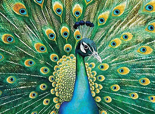 Cross & Glory Emerald Peacock 1000-Piece Jigsaw Puzzle – Satin Finish, 20x27 Inches