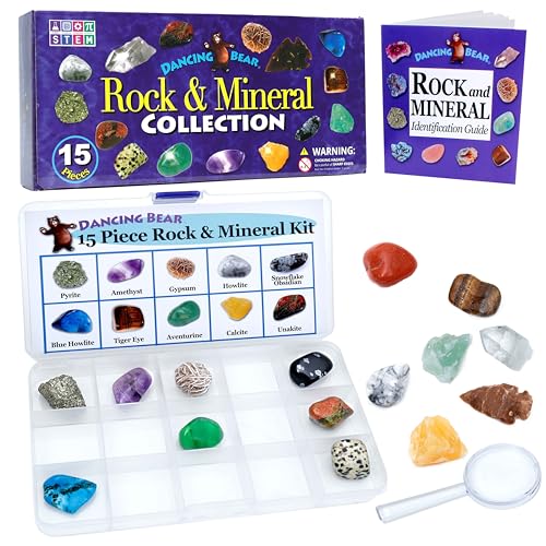 DANCING BEAR Rock and Mineral Collection – 15 Specimens with Display Box, ID Sheet, and Magnifying Glass