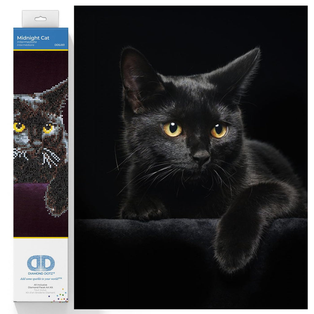 DIAMOND DOTZ Midnight Cat Diamond Art Kit – Partial Drill Round Dotz, 14x11 Inch Canvas for Adults