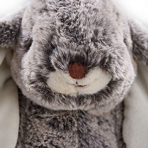 DILLY DUDU 10-Inch Woodland Bunny Rabbit Plush Toy – Soft, Huggable, and Machine Washable