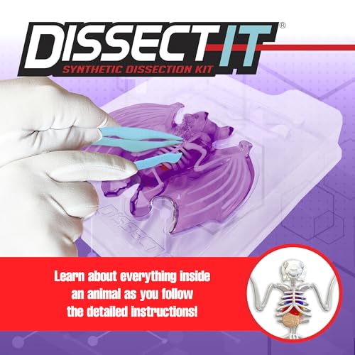 Dissect It Bat Dissection Kit: Synthetic STEM Anatomy Toy for Kids Ages 6+