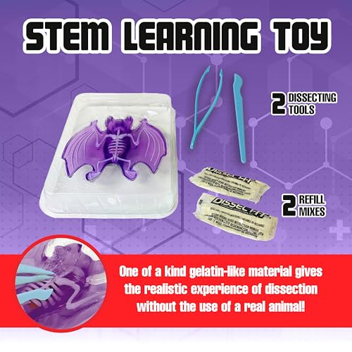 Dissect It Bat Dissection Kit: Synthetic STEM Anatomy Toy for Kids Ages 6+
