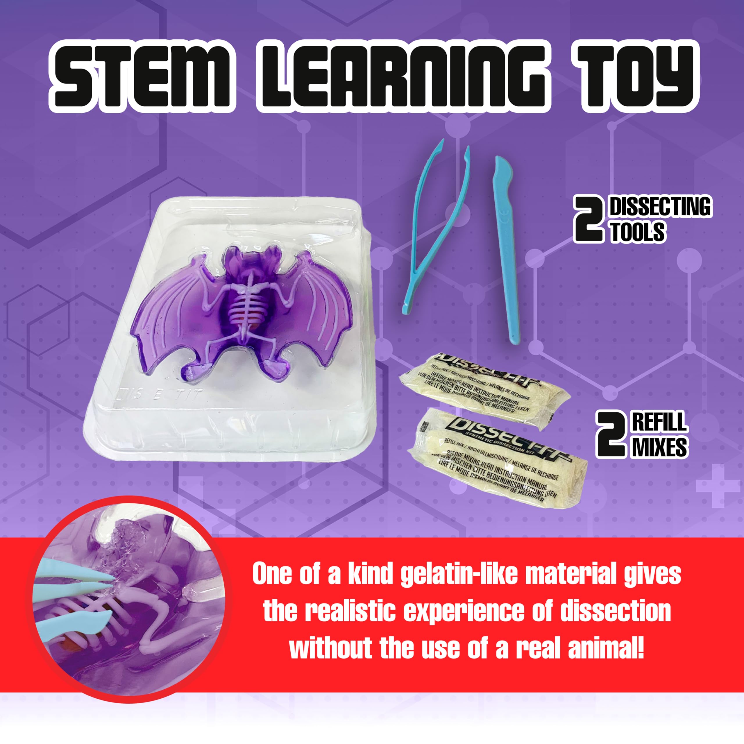 Dissect It Bat Dissection Kit: Synthetic STEM Anatomy Toy for Kids Ages 6+