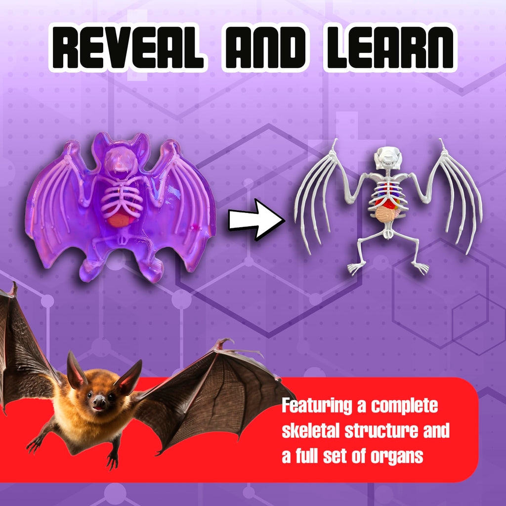 Dissect It Bat Dissection Kit: Synthetic STEM Anatomy Toy for Kids Ages 6+