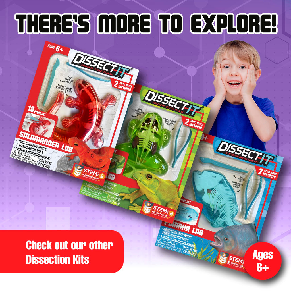 Dissect It Bat Dissection Kit: Synthetic STEM Anatomy Toy for Kids Ages 6+