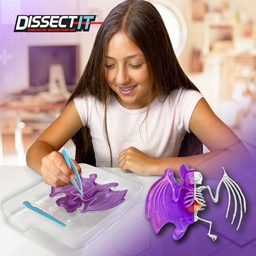 Dissect It Bat Dissection Kit: Synthetic STEM Anatomy Toy for Kids Ages 6+