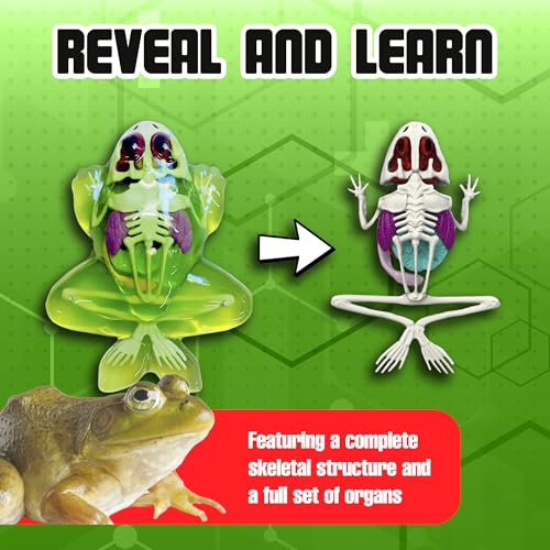 Dissect It Synthetic Frog Dissection Kit for Kids - STEM Anatomy Learning Toy Ages 6+