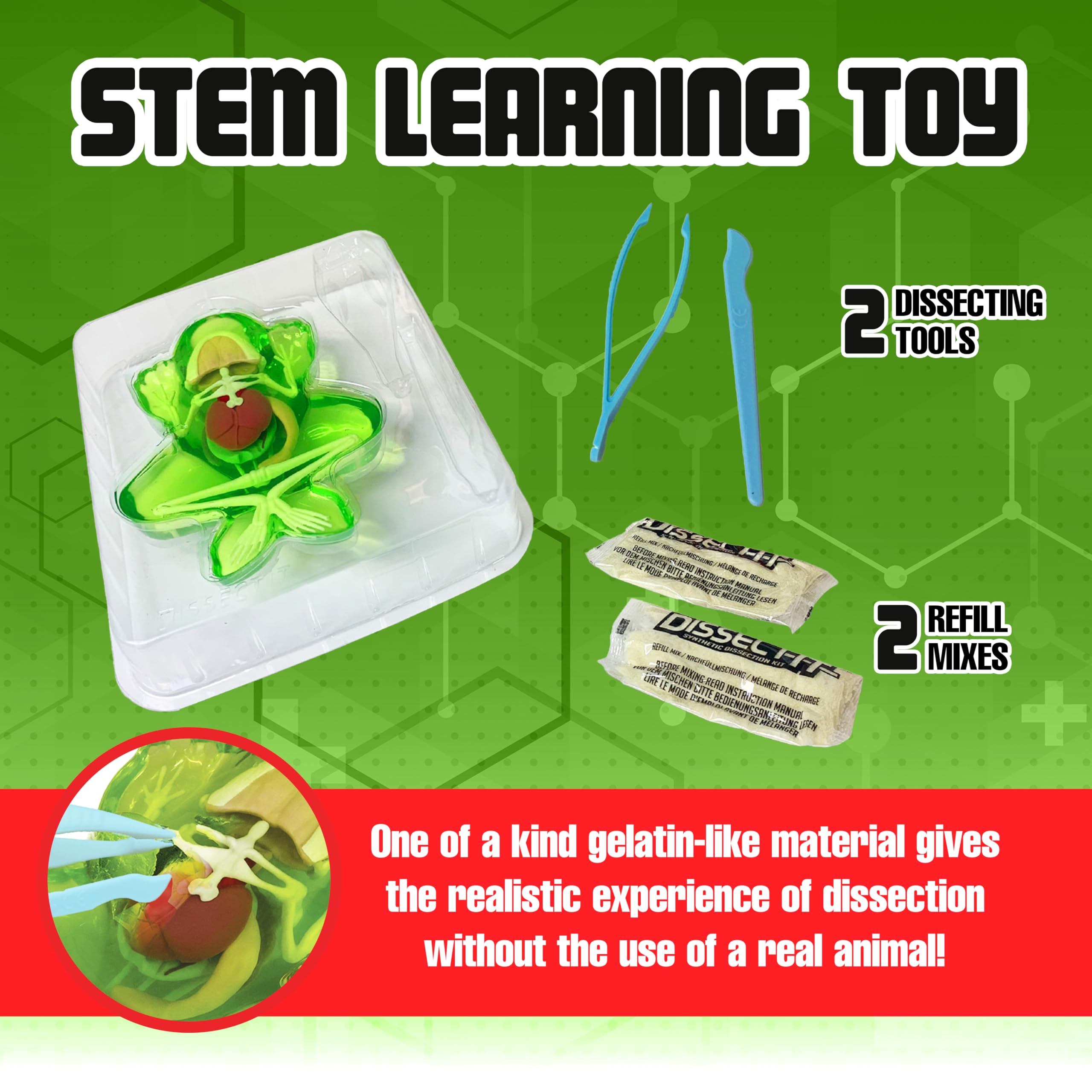 Dissect It Synthetic Frog Dissection Kit for Kids - STEM Anatomy Learning Toy Ages 6+