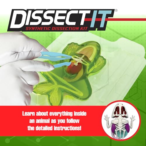 Dissect It Synthetic Frog Dissection Kit for Kids - STEM Anatomy Learning Toy Ages 6+