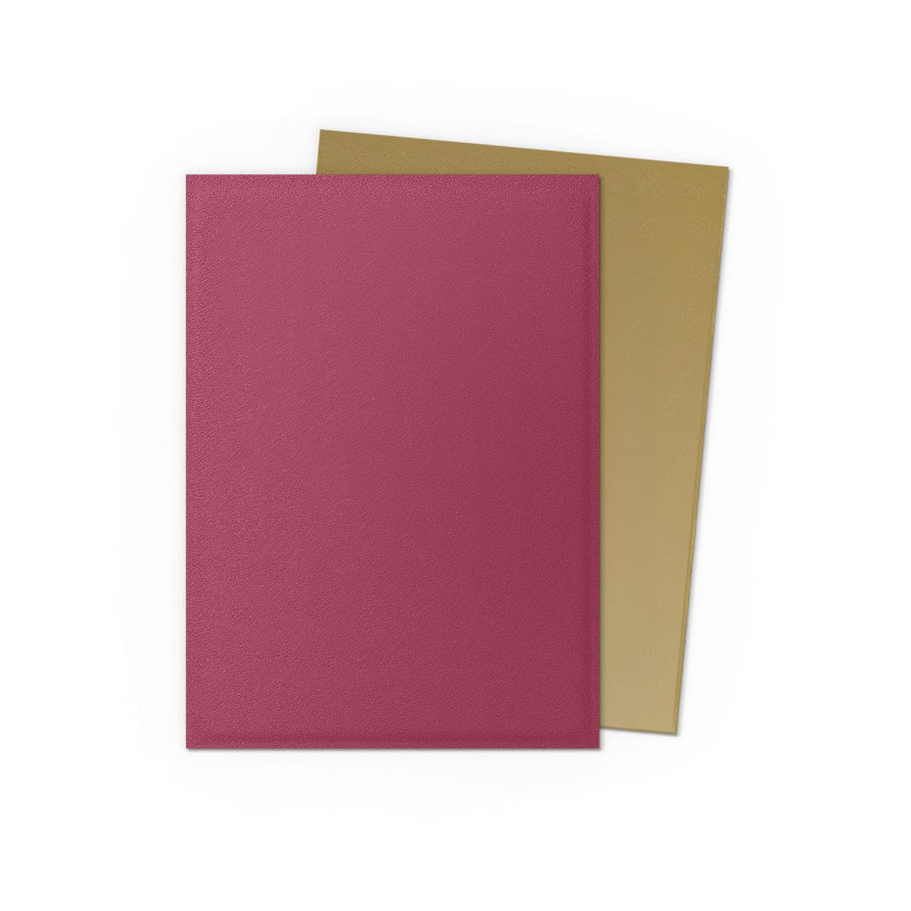 Dragon Shield Matte Dual Standard Size Card Sleeves – Red/Gold (100 CT)