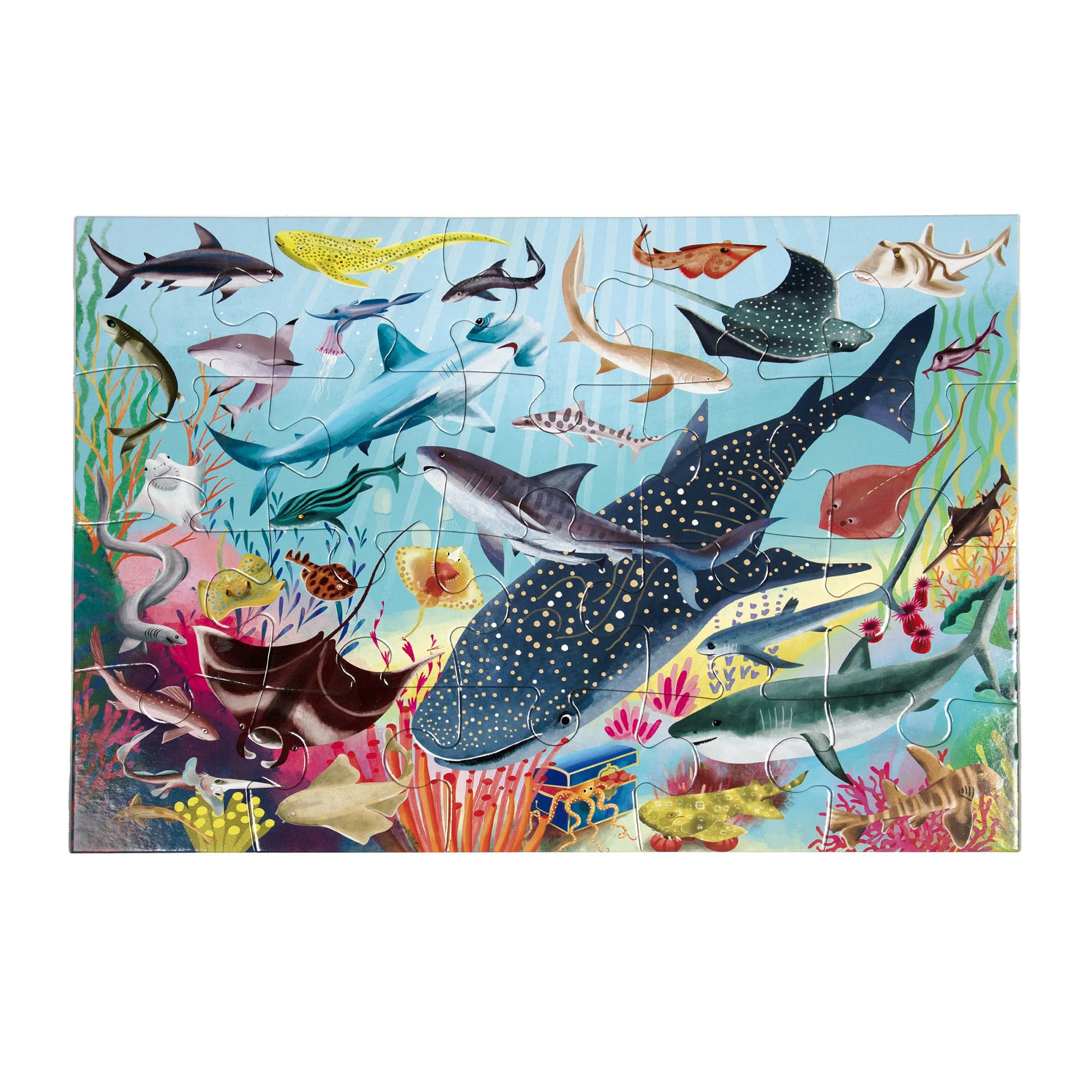 eeBoo Sharks & Friends 20-Piece Puzzle – Large Ocean-Themed Jigsaw for Ages 3+